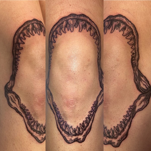 Shark jaws on the knee By Ethan See more   SLC Ink Tattoo 1150  South Main Street Salt Lake City Utah 801  Shark tooth tattoo Tooth  tattoo Knee tattoo